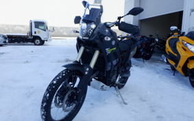 YAMAHA TENERE 700 2020 DM09J