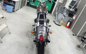 YAMAHA VIRAGO 250 2022 3DM