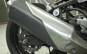 KAWASAKI Z250 2024 ER250C