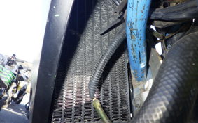 KAWASAKI KDX250SR 2019 DX250F