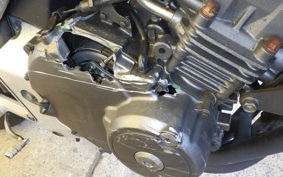 HONDA HORNET 250 MC31