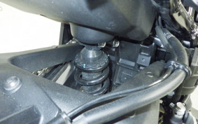 KAWASAKI ZH2 2024 ZRT00R