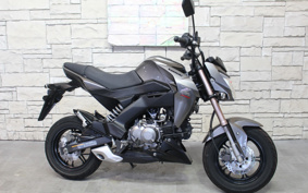 KAWASAKI Z125 PRO BR125H
