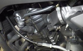 OTHER Vｽﾄﾛｰﾑ250A 2019