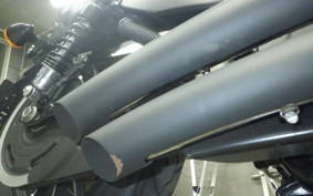 HARLEY XL883N 2014
