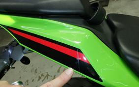 KAWASAKI ZX-4RRKRT 2024 ZX400P