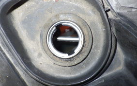 HONDA LEAD 110 JF19