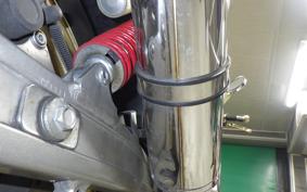 KAWASAKI BALIUS 250 Gen.2 2021 ZR250B