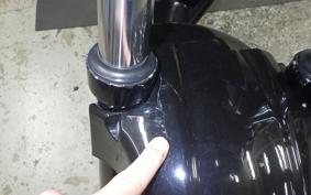 HONDA HORNET 250 2022 MC31