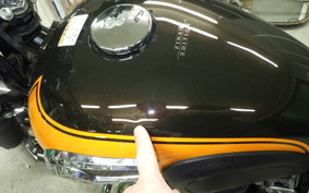 KAWASAKI W800 2019 EJ800A