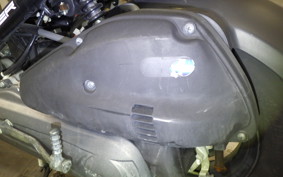 HONDA ZOOMER 2019 AF58