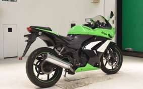 KAWASAKI NINJA 250R
