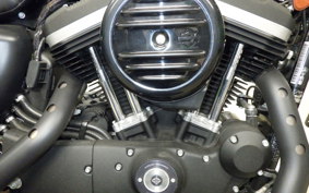 HARLEY XL883N 2018