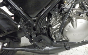 YAMAHA TDR250 2025 2YK