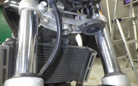 HONDA HORNET 250 2016 MC31