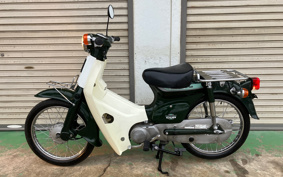 HONDA SUPER CUB50 C50