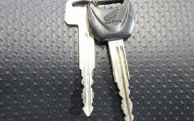 HONDA FTR223 MC34