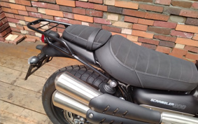 TRIUMPH SCRAMBLER 2024 DAD78G