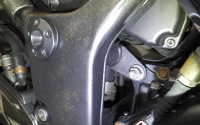 KAWASAKI NINJA 250R 2023 EX250K