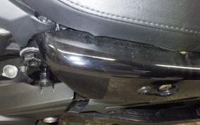 HARLEY RH975 2024