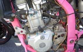 KAWASAKI KLX250D TRACKER LX250E