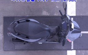 OTHER  CYGNUS  GRIF ASU