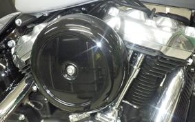 HARLEY FXST1750 2025