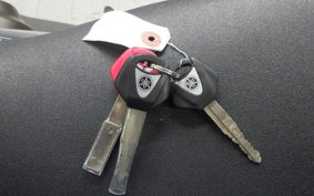 YAMAHA XSR900 GP 2024 RN96J