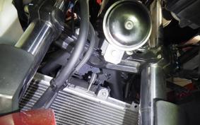 KAWASAKI NINJA 250 EX250P