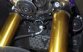 YAMAHA YZF-R15 2020