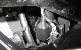 KAWASAKI NINJA 250 EX250L