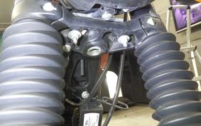 OTHER +ENFIELD HUNTER350 2023