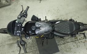 HARLEY XL1200NS 2021