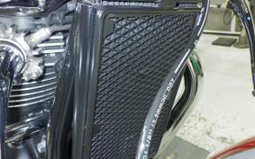 TRIUMPH BONNEVILLE T120 2024