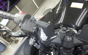 KAWASAKI NINJA 250R 2021 EX250K