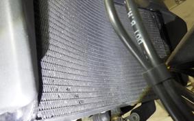 DUCATI MONSTER 821 2016