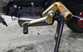 KAWASAKI Z125 PRO 2024 BR125H