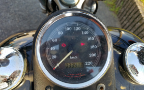 HARLEY FXDL 100th 2003 GDV