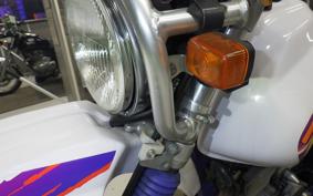 YAMAHA TT250R RAID 2013 4GY