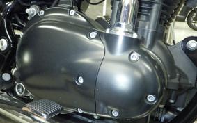 KAWASAKI W800-2ｽﾄﾘｰﾄ 2021 EJ800B