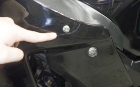 HONDA CBR1100XX 1998