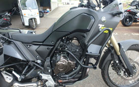 YAMAHA TENERE 700 2020 DM09J