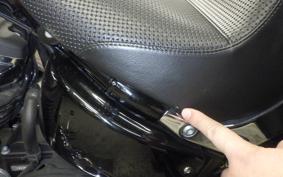 HARLEY FLSB 1750 2020