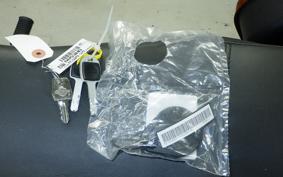 HARLEY FXLRST1920 2025