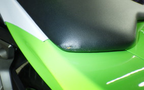 KAWASAKI NINJA 250 2015 EX250L