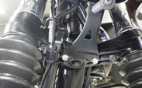 KAWASAKI W800 2025 EJ800E