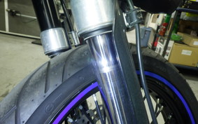 KAWASAKI KLX250D TRACKER X 2021 LX250V