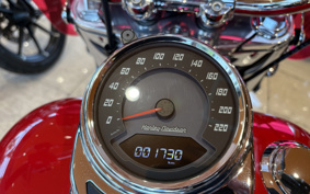 HARLEY FLI 2024 BCK