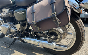 KAWASAKI W800 2020 EJ800B
