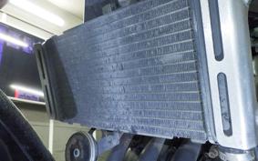 HONDA HORNET 250 MC31